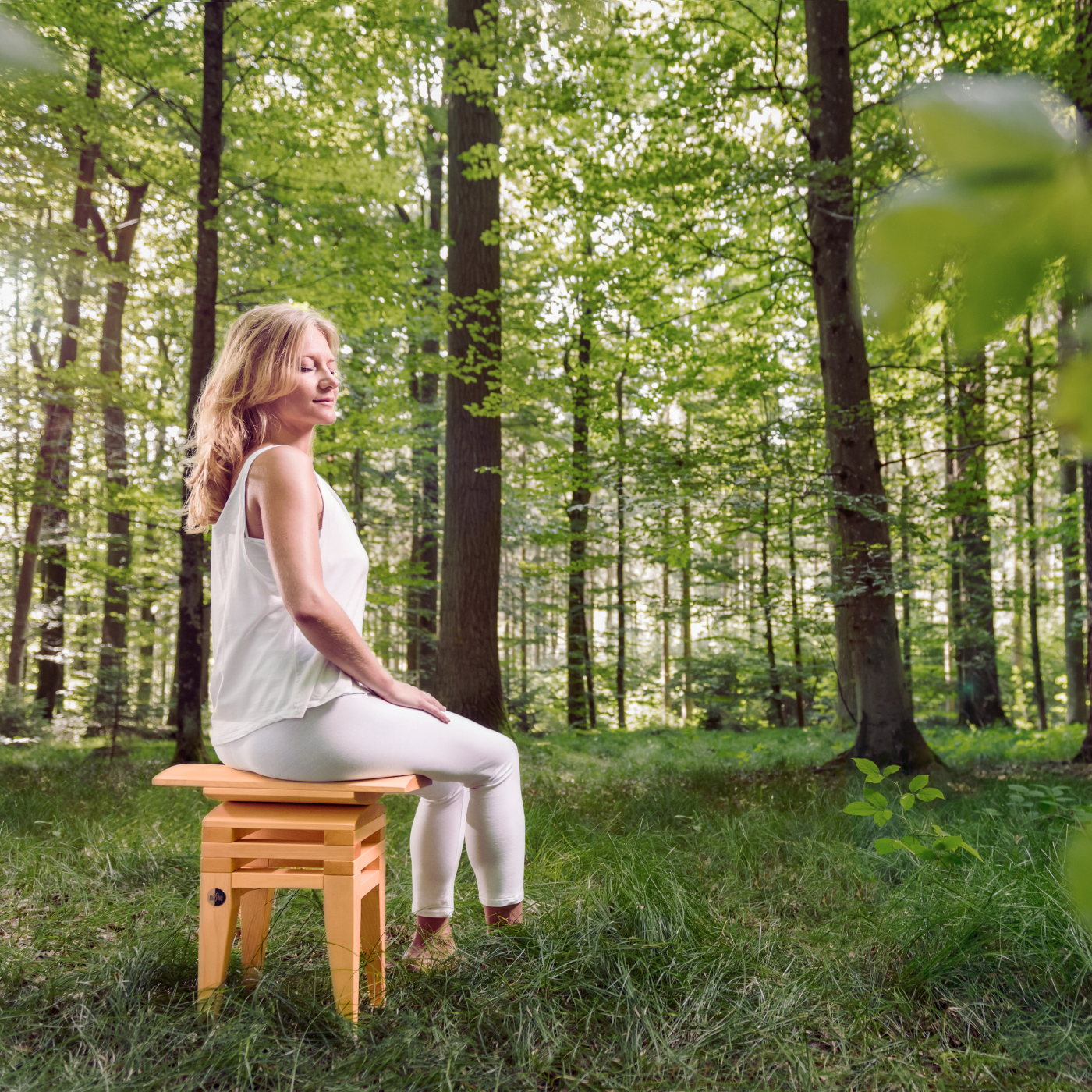 MiShu Classic Buche meditieren