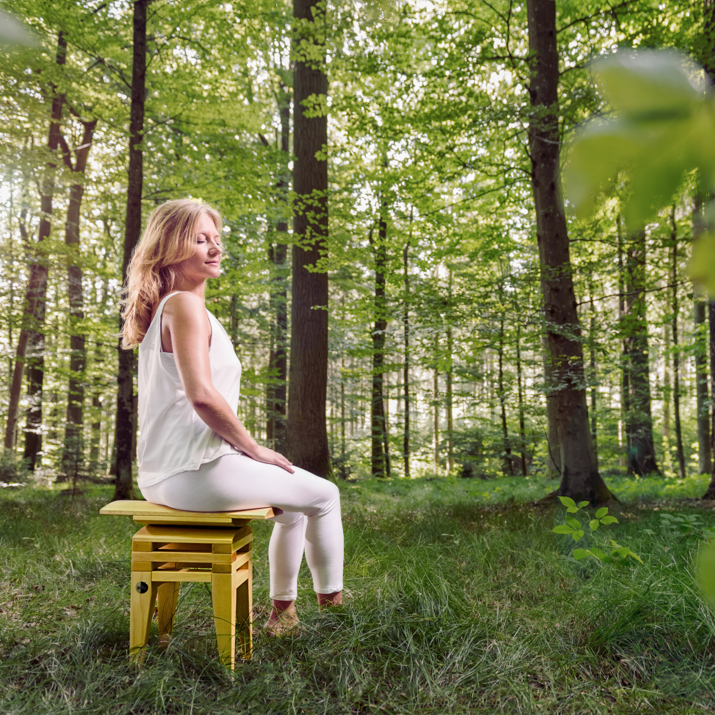 MiShu Classic Eiche meditieren