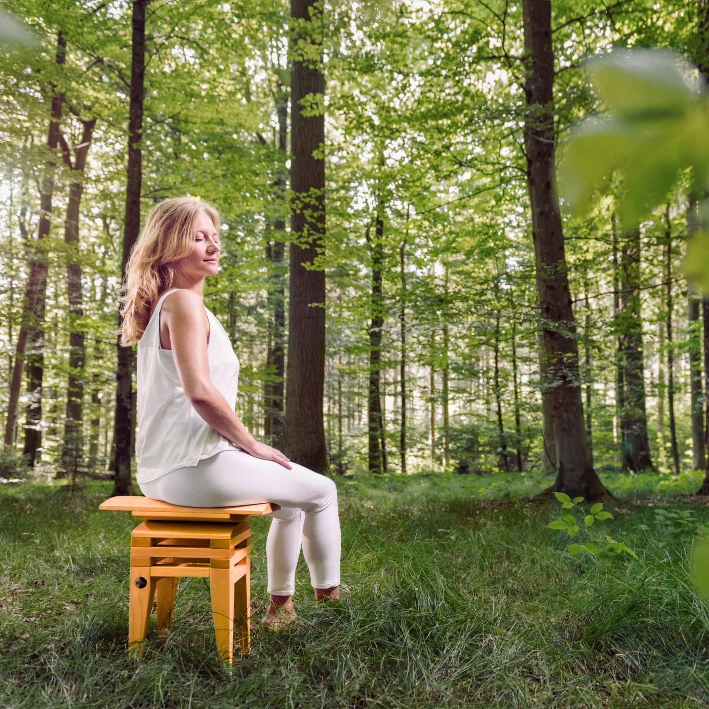 MiShu Classic Kirsche meditieren